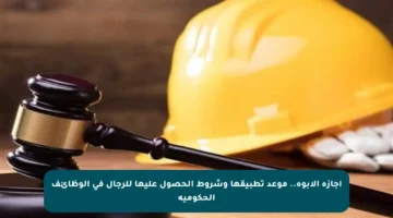 إجازة الأبوة.. موعد تطبيقها وشروط الحصول عليها للرجال في الوظائف الحكومية